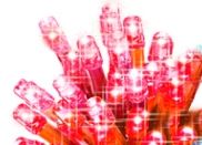 RED BATTERY OPERATED 40 LED STRING. BML88820_RED